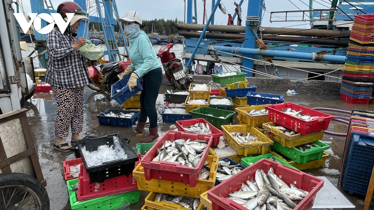 Danh bat thua lo nhieu ngu dan o ba ria vung tau rao ban tau hinh anh 2