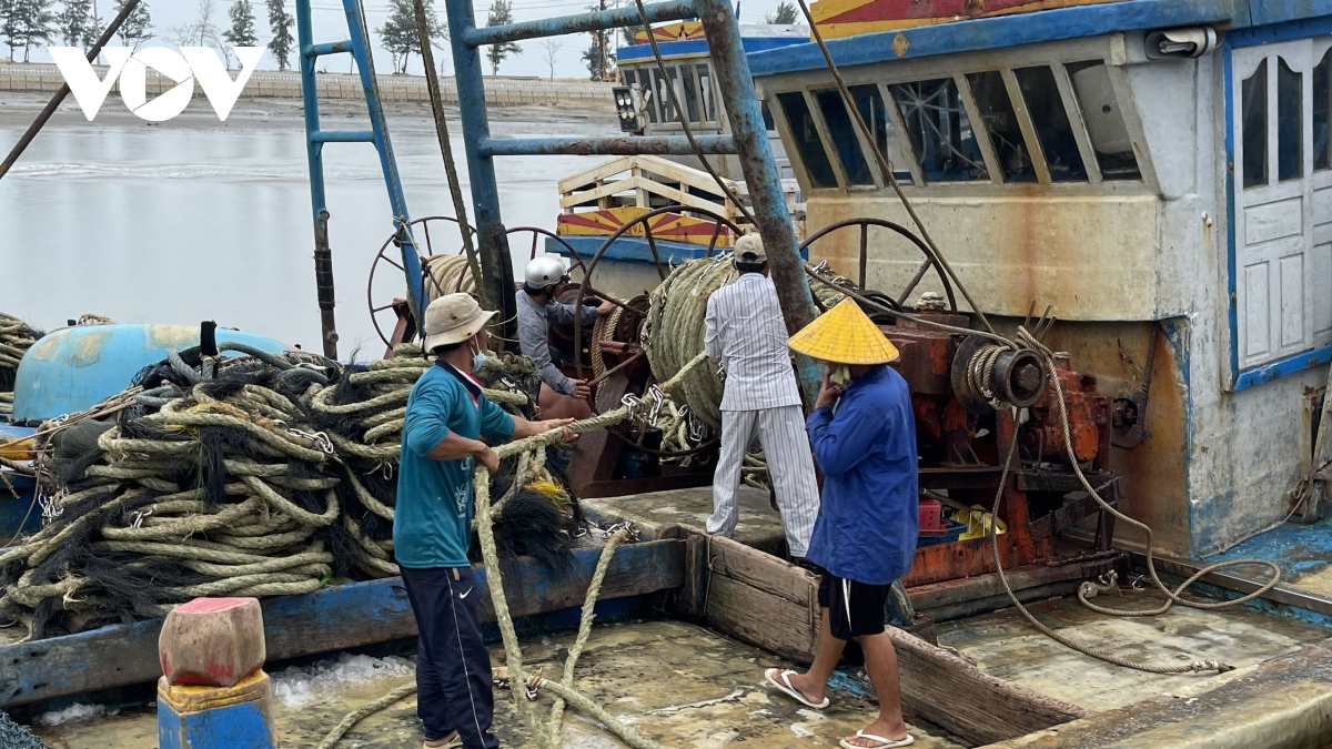 Danh bat thua lo nhieu ngu dan o ba ria vung tau rao ban tau hinh anh 3