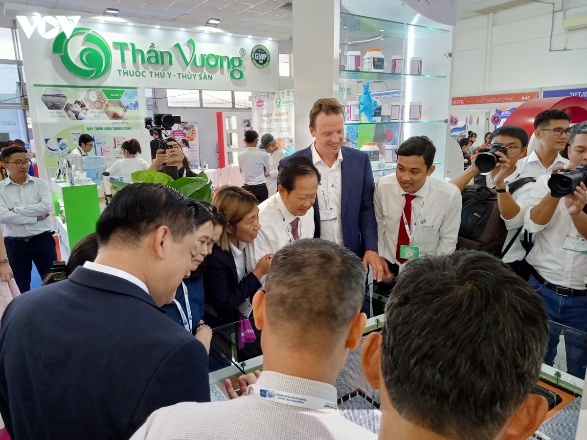 khat vong dua nganh tom viet nam phat trien ben vung va vuon tam hinh anh 4