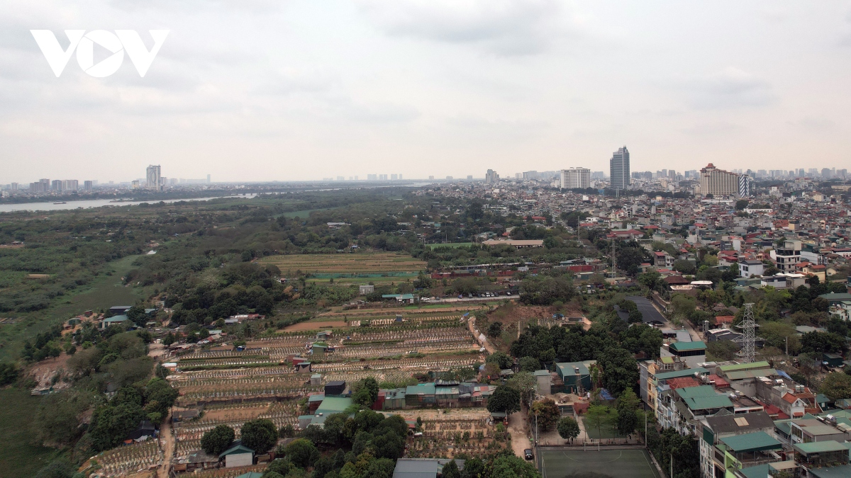 ha noi se dau gia dat nong nghiep o vung bai song hong hinh anh 1