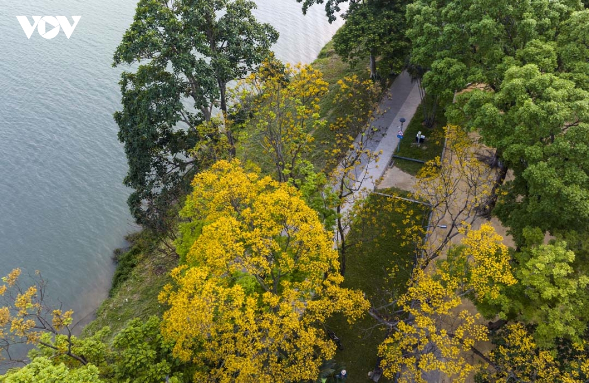 ngam hue vao mua cua nhung sac hoa hinh anh 10