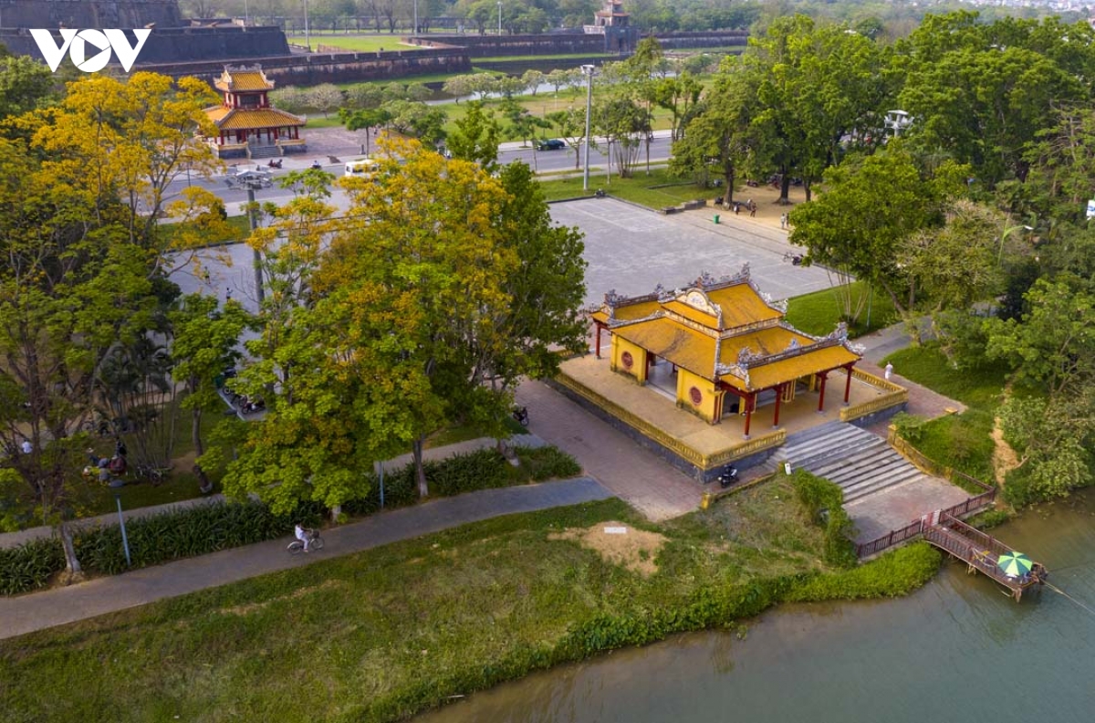 ngam hue vao mua cua nhung sac hoa hinh anh 11