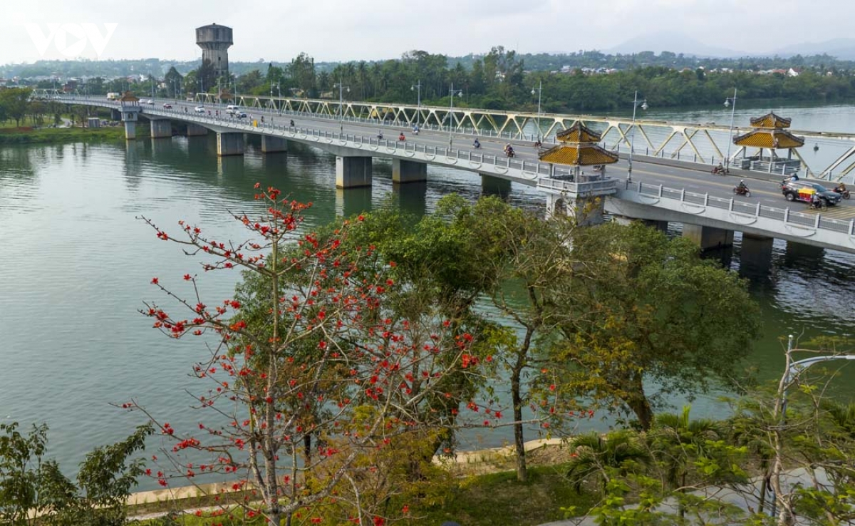 ngam hue vao mua cua nhung sac hoa hinh anh 3