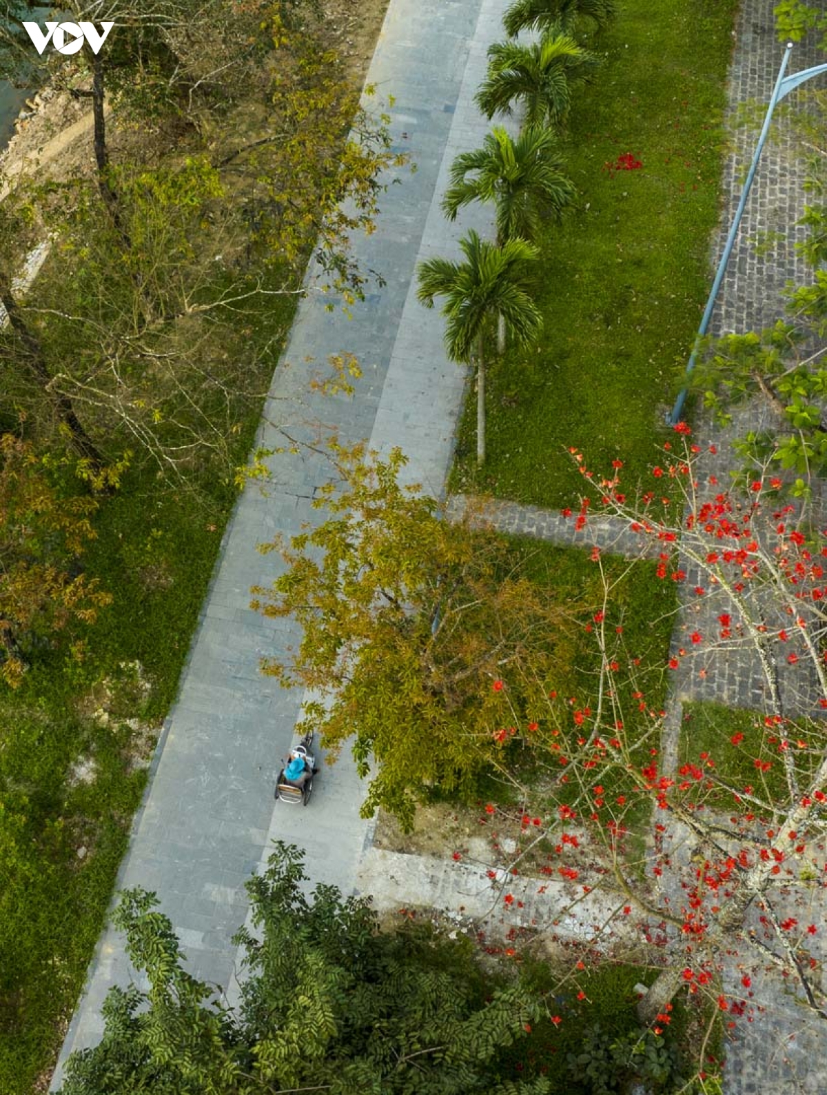 ngam hue vao mua cua nhung sac hoa hinh anh 4
