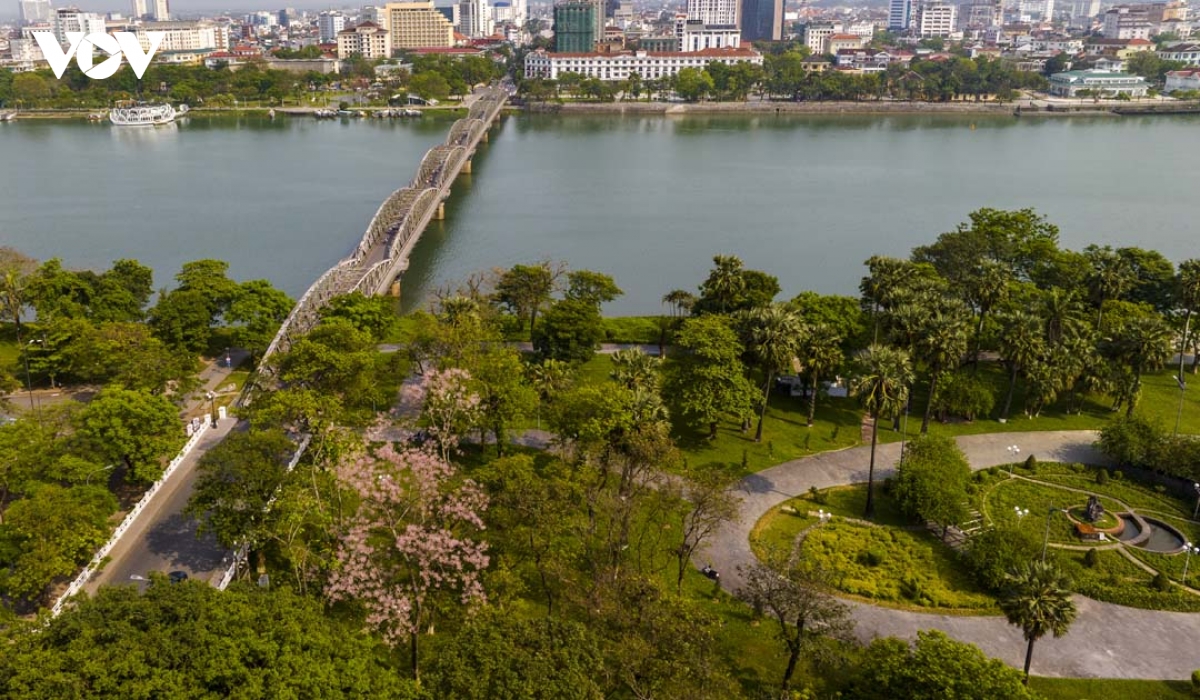 ngam hue vao mua cua nhung sac hoa hinh anh 6