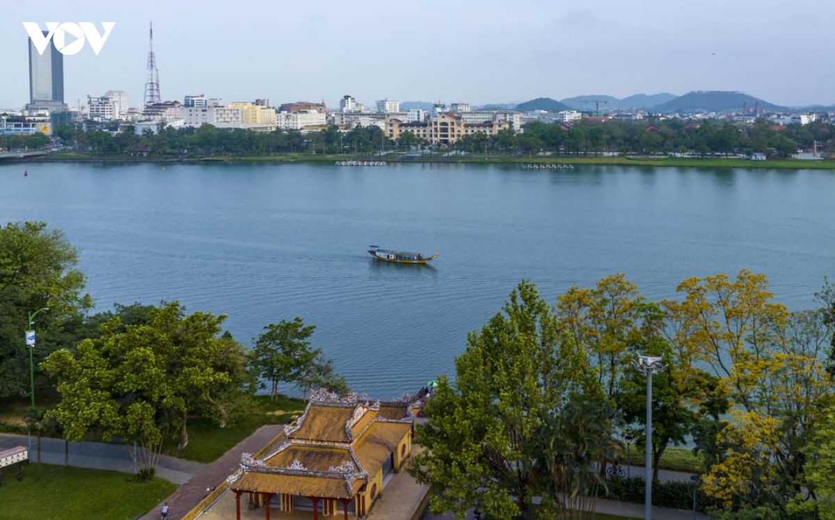 ngam hue vao mua cua nhung sac hoa hinh anh 9