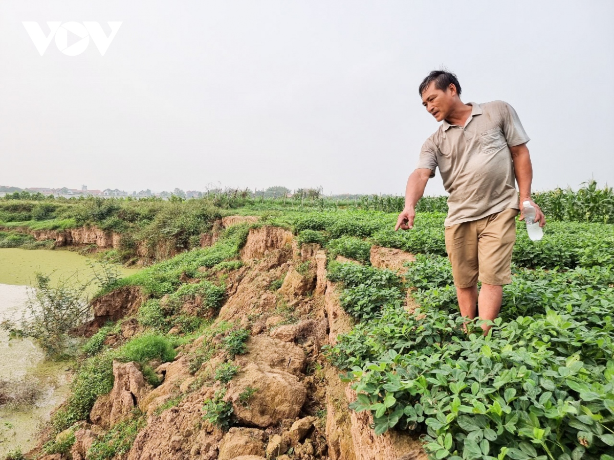 Doanh nghiệp khai thác cát rầm rộ gây sạt lở hàng nghìn m2 đất canh tác ở Bắc Giang
