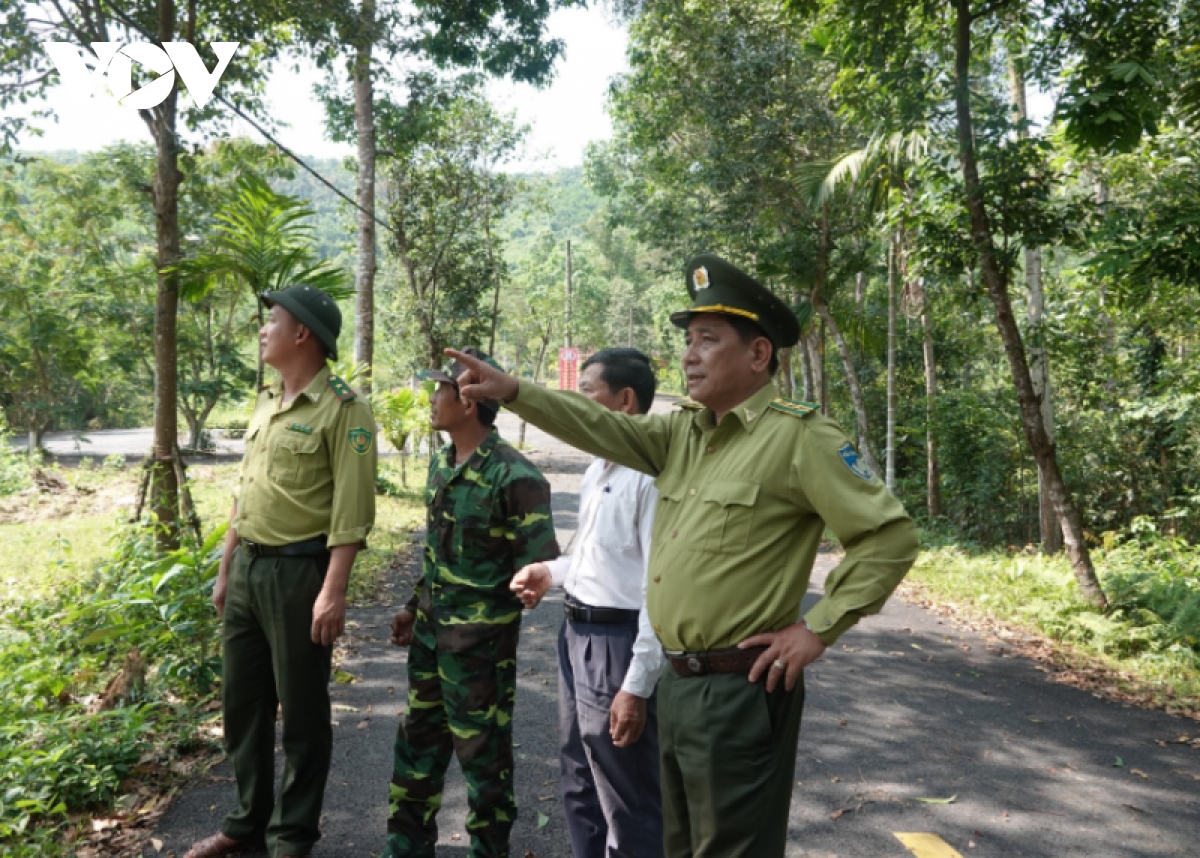 Da nang chu dong phong chong chay rung mua nang nong hinh anh 3