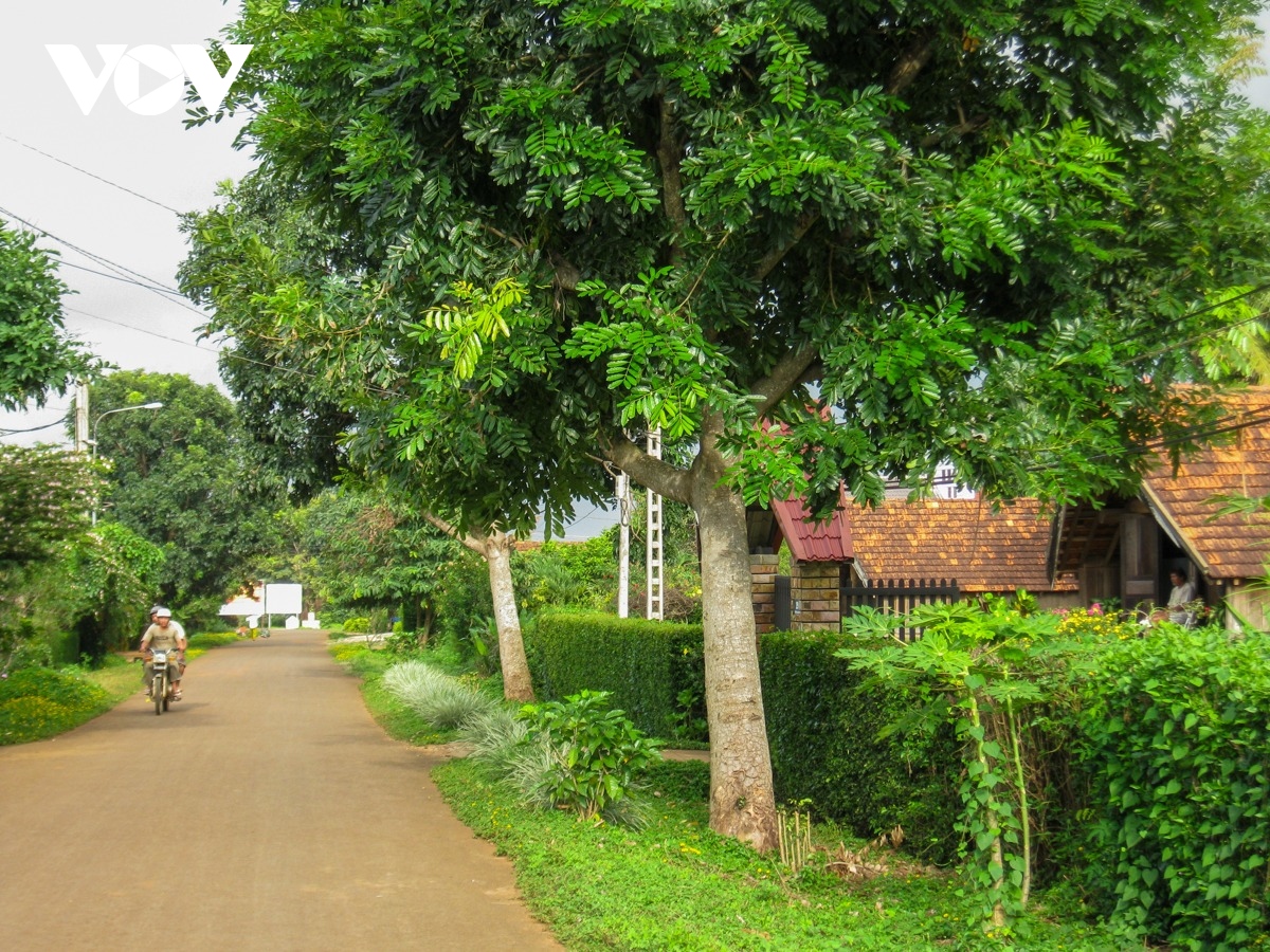 Doc dao buon lang E-de giua long thanh pho buon ma thuot hinh anh 1