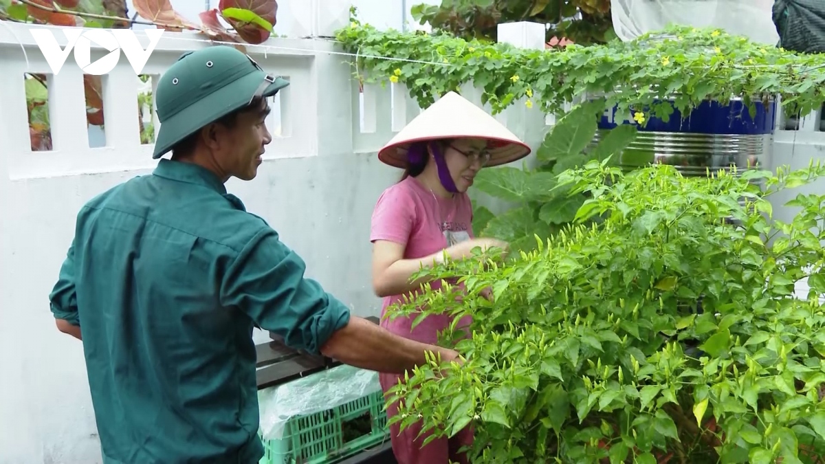 xay dung huyen dao truong sa thanh trung tam kinh te, van hoa, xa hoi tren bien hinh anh 5