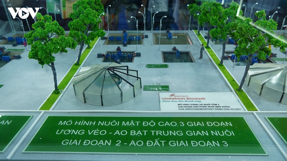 khat vong dua nganh tom viet nam phat trien ben vung va vuon tam hinh anh 3