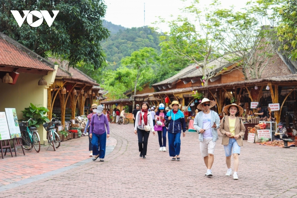 ron rang loat le hoi tren rung duoi bien tai quang ninh hinh anh 9