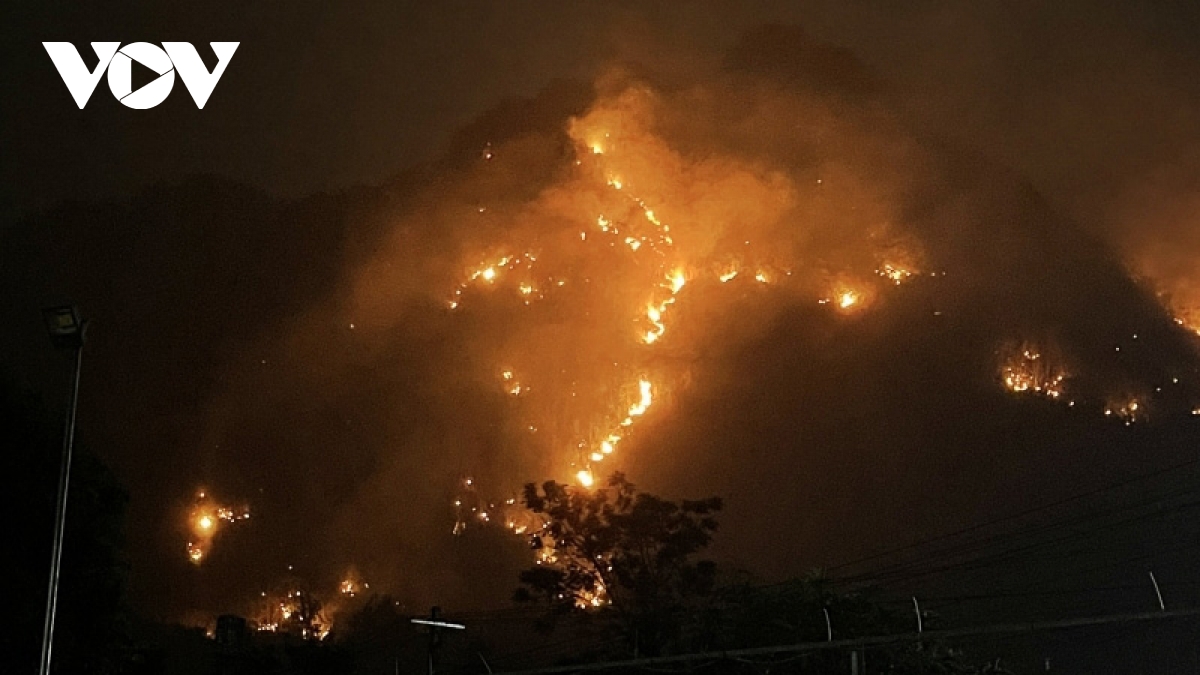 cac tinh tay bac ung pho voi nang nong keo dai hinh anh 1