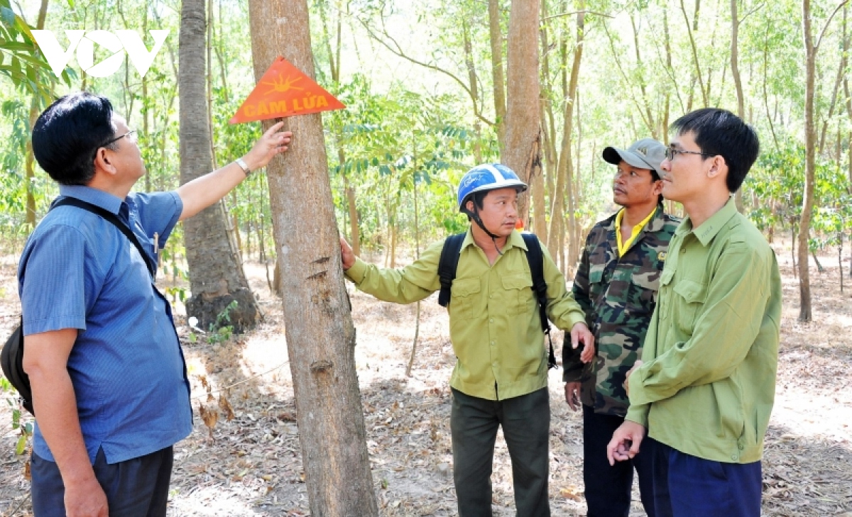 nhieu phuong an phong chong, ung pho khong de xay ra chay rung mua kho o an giang hinh anh 3