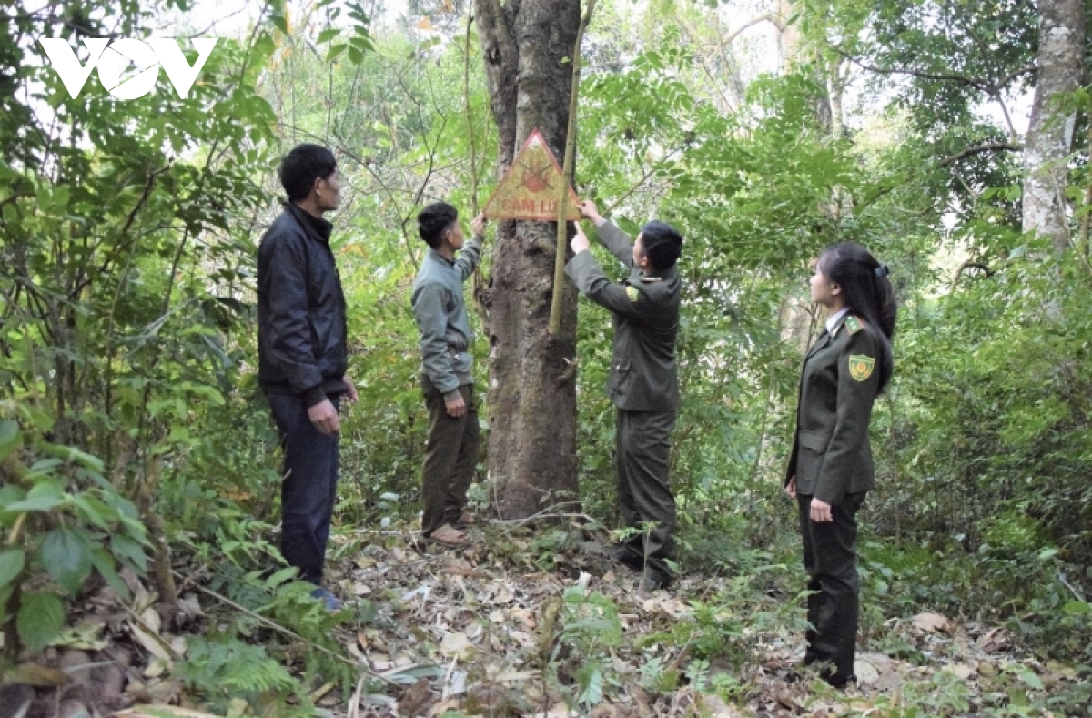 cac tinh tay bac ung pho voi nang nong keo dai hinh anh 2