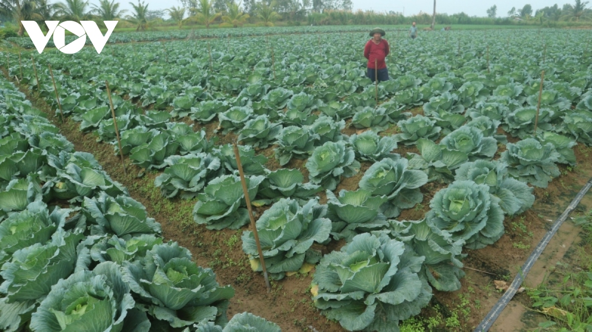 buoc chuyen khi chuong trinh muc tieu quoc gia den voi dong bao hinh anh 3