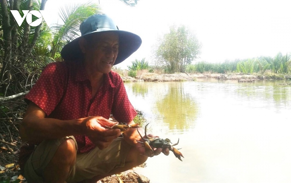 cua chet dien rong, nguoi dan ca mau lo mat nguon thu tu dac san hinh anh 1