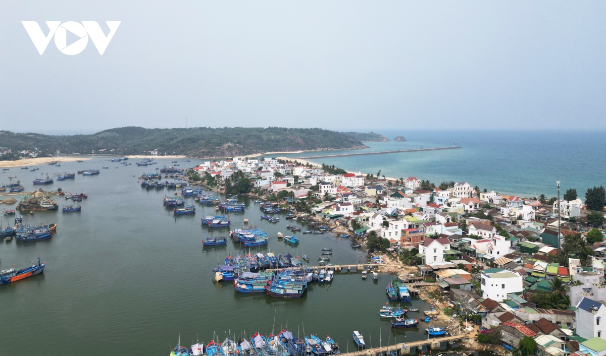 Cửa biển và luồng lạch vào cảng cá Tam Quan bị bồi lấp nghiêm trọng