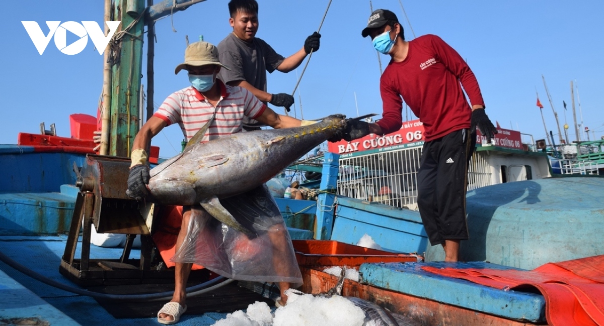 nhat ban la khach hang nhap khau thuy san lon nhat cua viet nam hinh anh 1