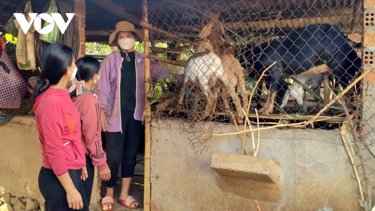 Dak lak cai thien sinh ke cho phu nu dan toc thieu so hinh anh 1