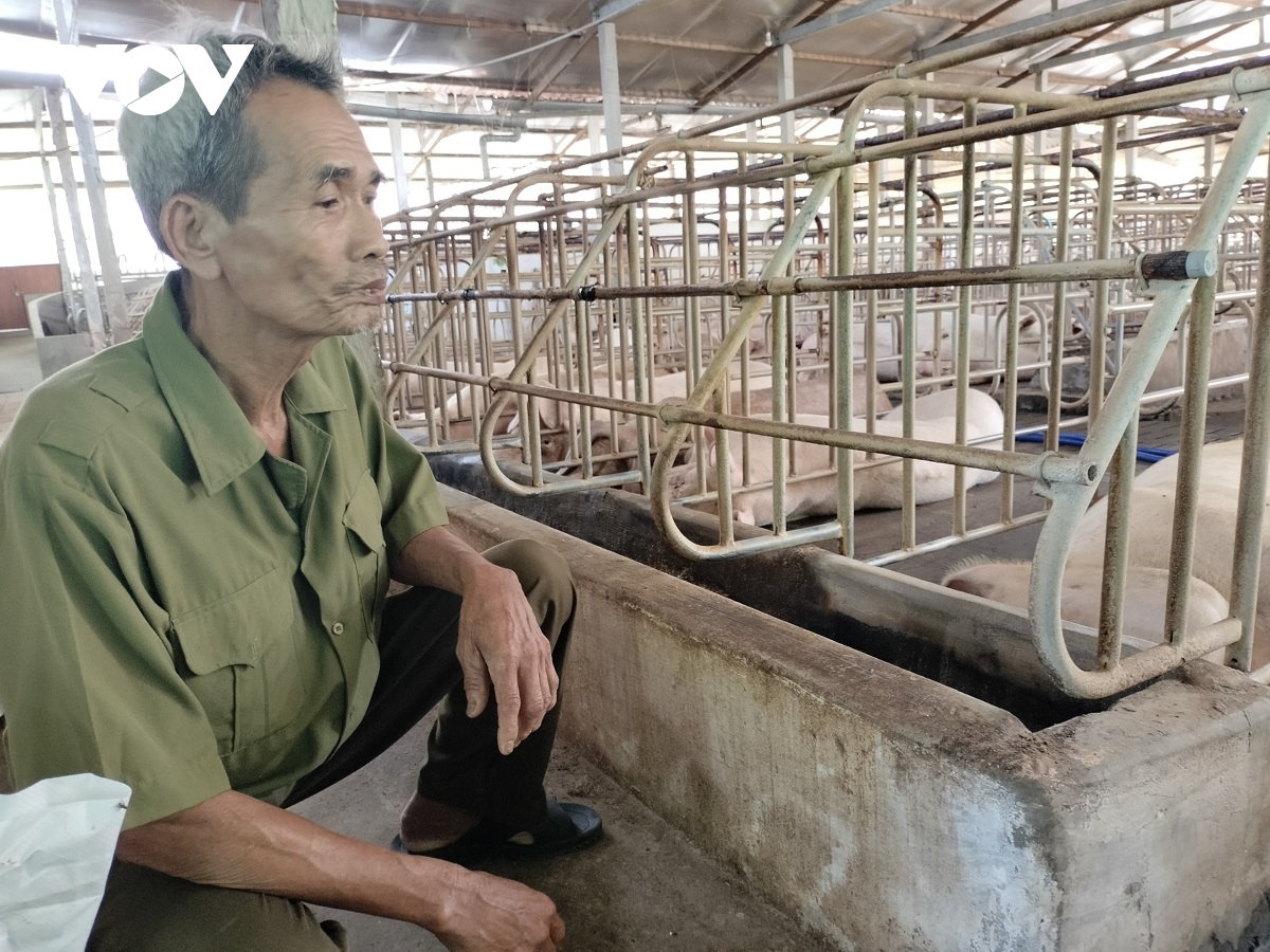 nguoi cuu chien binh tien giang chien thang doi ngheo, lac hau hinh anh 3