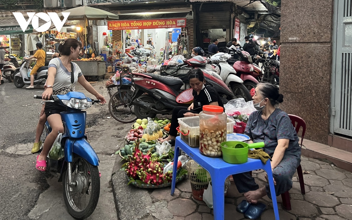 cho coc ngang nhien lan chiem via he va long duong o ha noi hinh anh 10