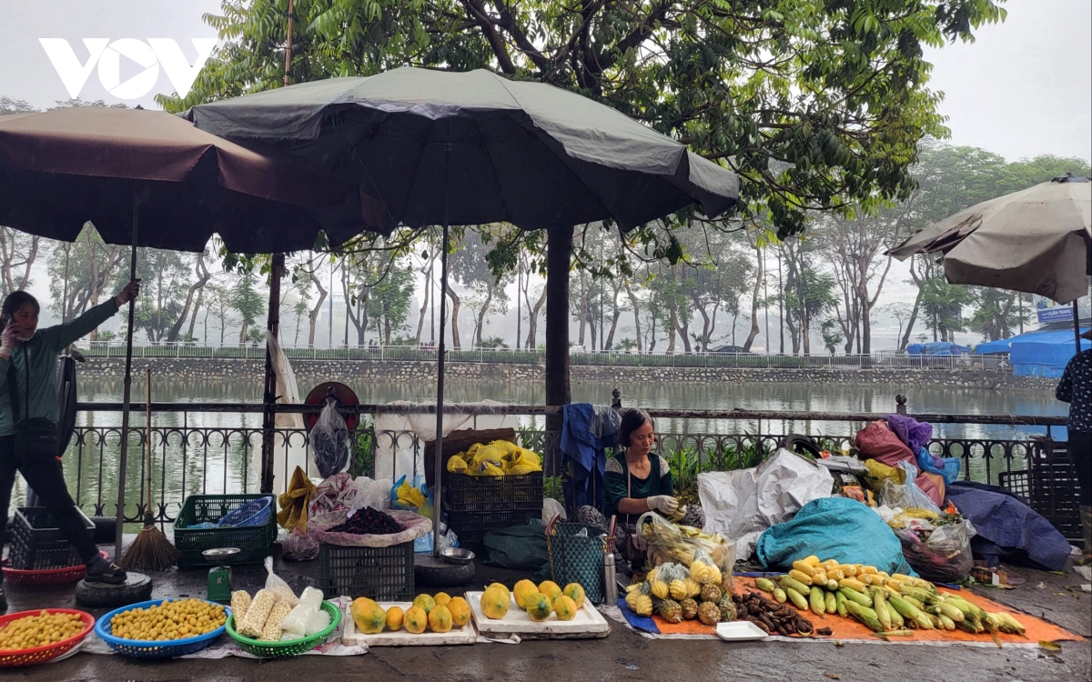 cho coc ngang nhien lan chiem via he va long duong o ha noi hinh anh 3