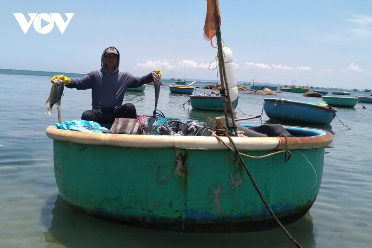 ngu dan vung bien la gan o binh thuan kiem bac trieu moi ngay nho mua gio nam hinh anh 2