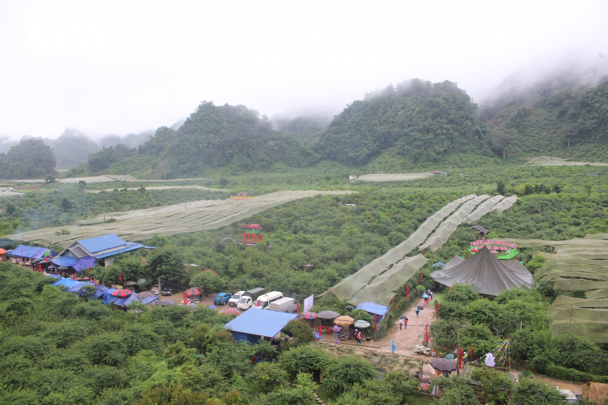 toi son la trai nghiem Diem den thien nhien khu vuc hang dau the gioi hinh anh 2