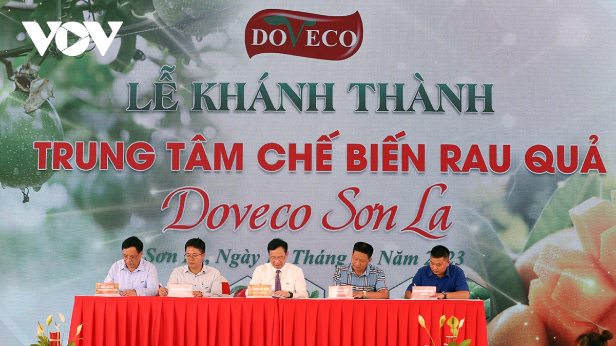 sơn la khánh thành trung tâm chế biến rau quả công suất 52.000 tấn năm hình ảnh 2 son la khanh thanh trung tam che bien rau qua cong suat 52.000 tan nam hinh anh 2