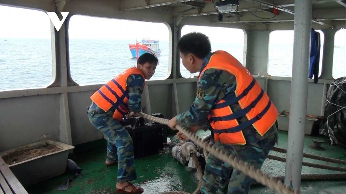 lu doan 161 vung 3 hai quan giup ngu dan vuon khoi an toan hinh anh 3