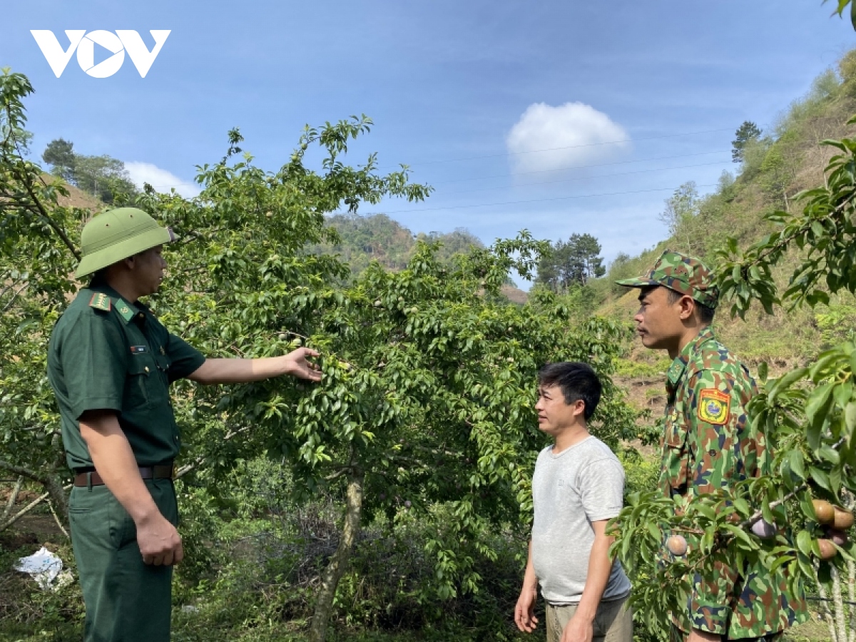  bo doi cu ho giup nguoi dan vung bien gioi son la thoat ngheo hinh anh 2