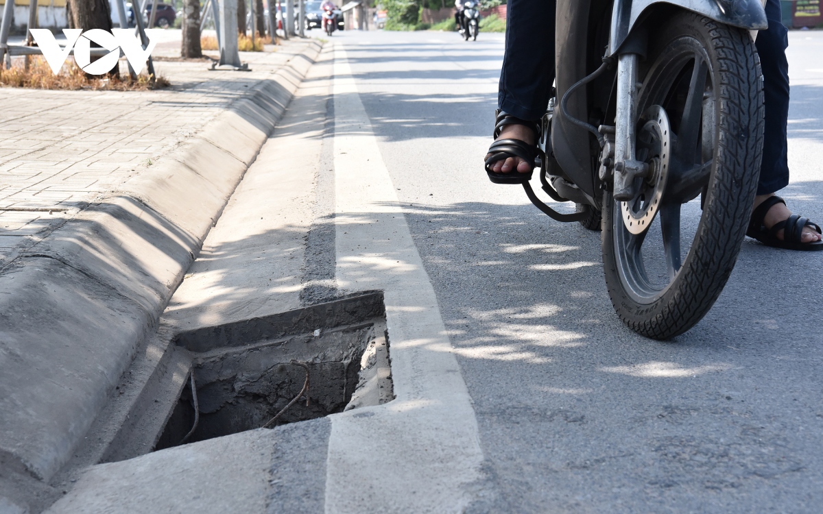 hang loat ho ga bi mat nap thanh bay voi nguoi di duong o long bien, ha noi hinh anh 3