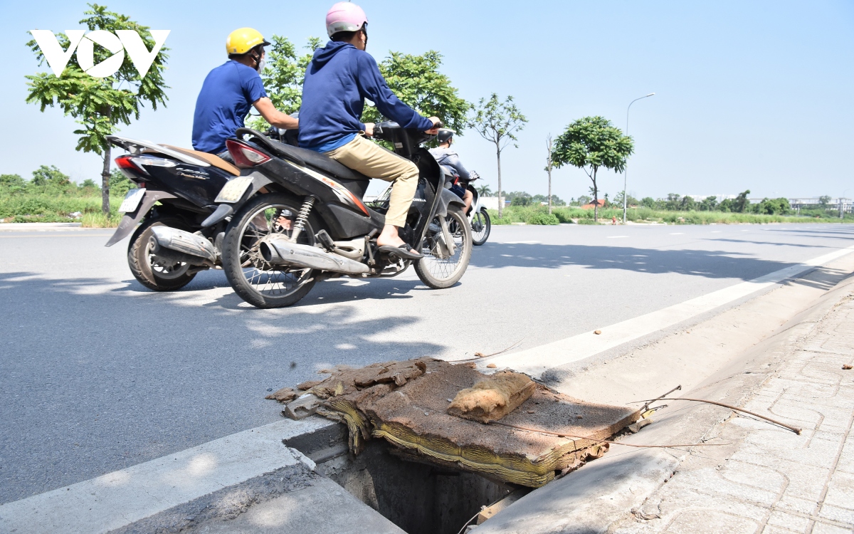 hang loat ho ga bi mat nap thanh bay voi nguoi di duong o long bien, ha noi hinh anh 4