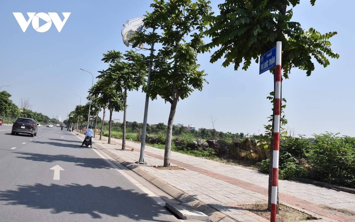 hang loat ho ga bi mat nap thanh bay voi nguoi di duong o long bien, ha noi hinh anh 10