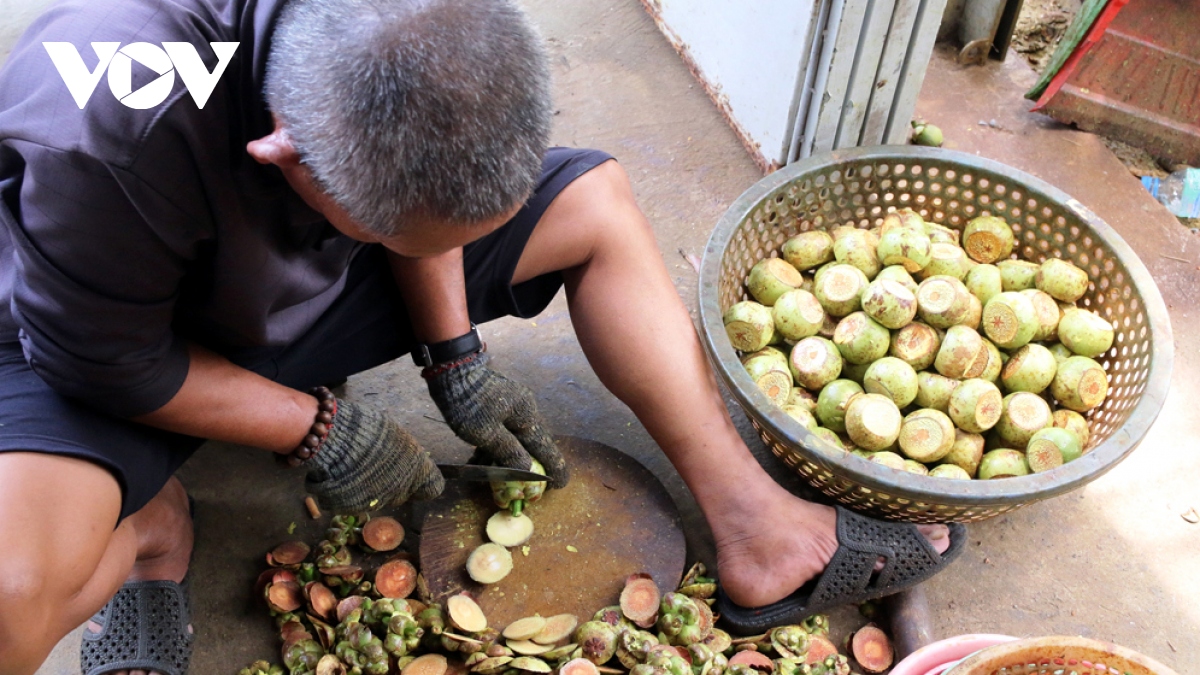 mang cut len ngoi, lao dong that nghiep o binh duong hai ra tien hinh anh 2