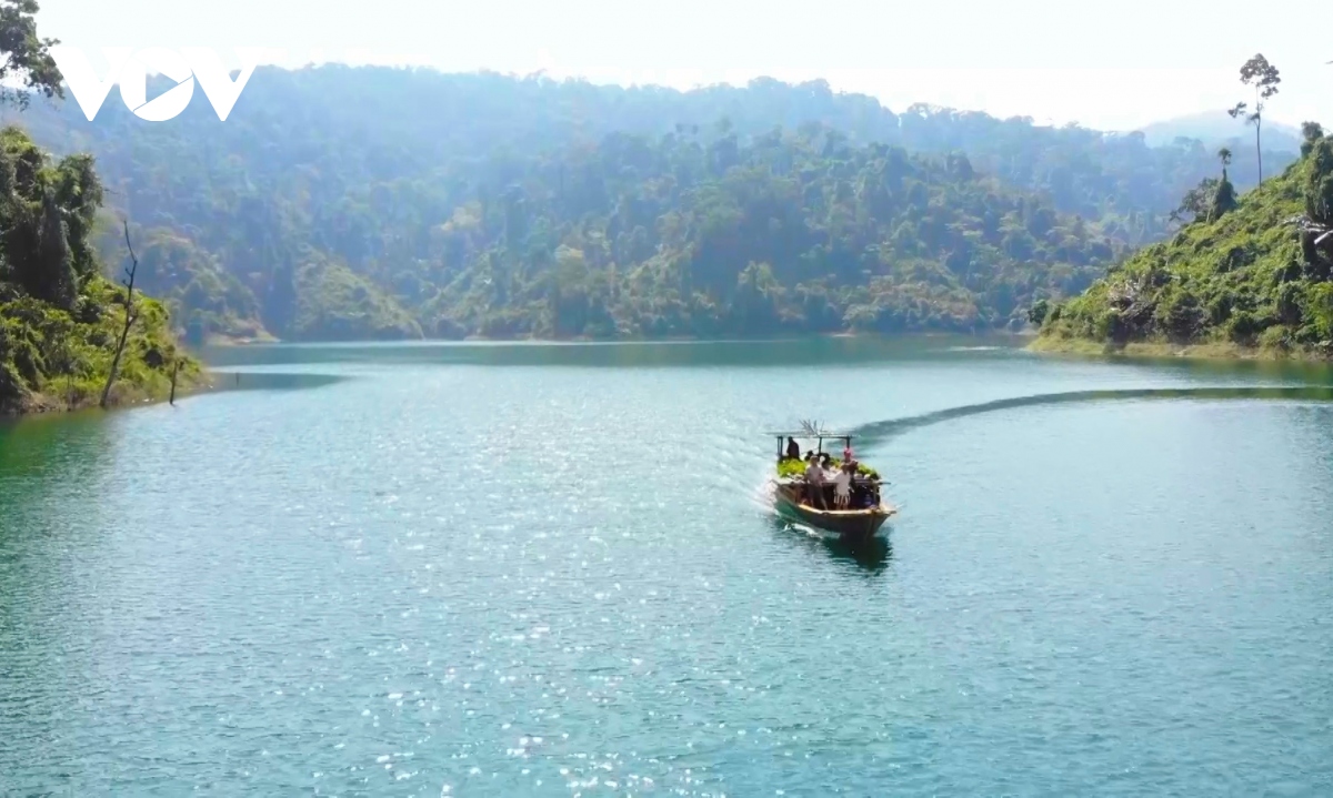 quang nam mo huong sinh ke ben vung dua vao rung hinh anh 6