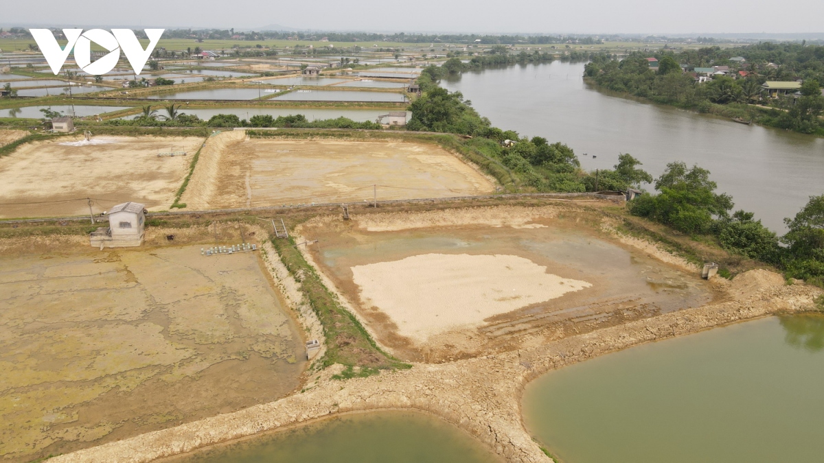 Quảng Trị: Lo ngại nguồn nước sông ô nhiễm, người nuôi tôm không ...