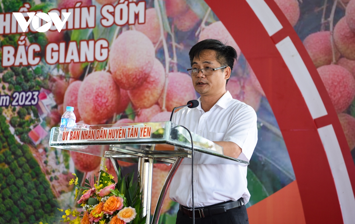 thu phu vai thieu som bac giang day manh xuat khau hinh anh 1