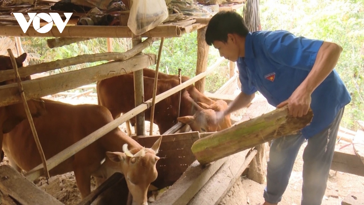 Dong luc giup thanh nien son la khoi nghiep hinh anh 4