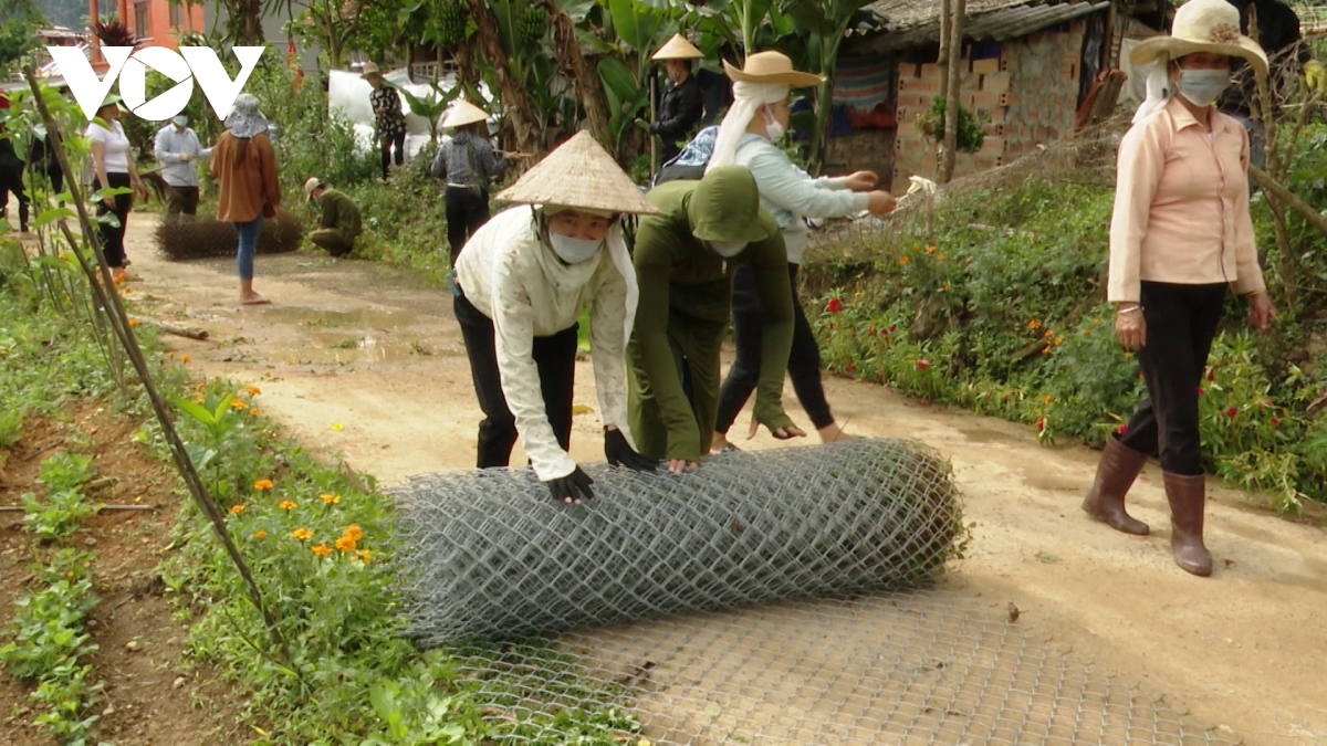 huyen mai son 12 chu truong doi thay mot vung que hinh anh 5