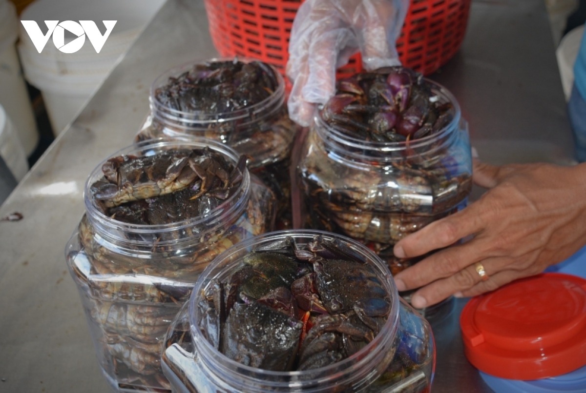 nâng tầm tôm khô, ba khía muối cà mau hình ảnh 2 nang tam tom kho, ba khia muoi ca mau hinh anh 2