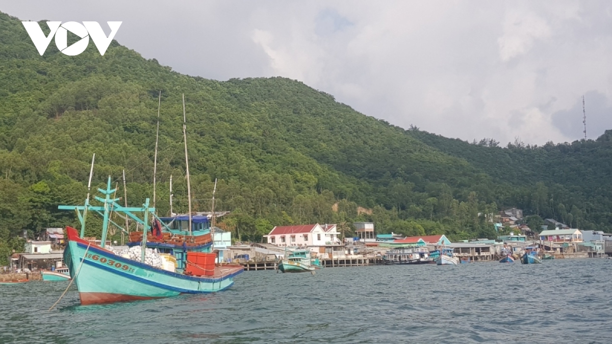 kien giang cam khai thac ngheu lua, so huyet, hen tai vung ven bo bien tu ngay 1 7 hinh anh 1