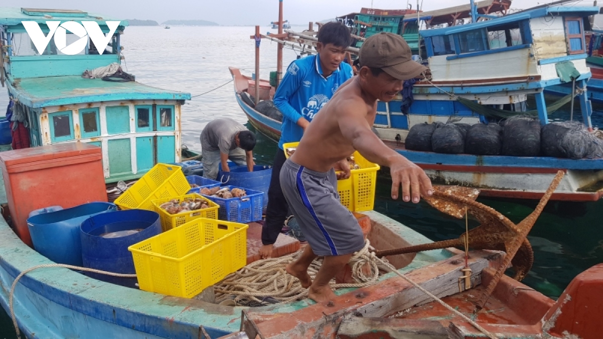 kien giang cam khai thac ngheu lua, so huyet, hen tai vung ven bo bien tu ngay 1 7 hinh anh 2