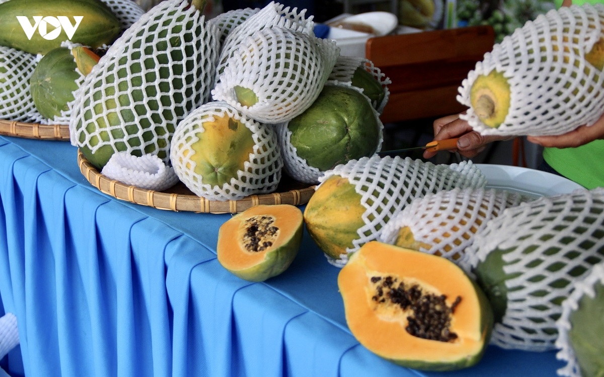 nong dan ba ria - vung tau dua sau rieng, bo, ca phe ra cho nong san hinh anh 1