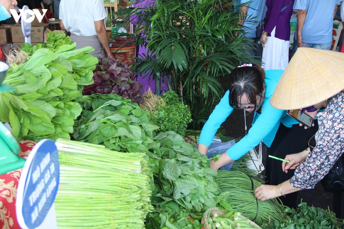 nong dan ba ria - vung tau dua sau rieng, bo, ca phe ra cho nong san hinh anh 6