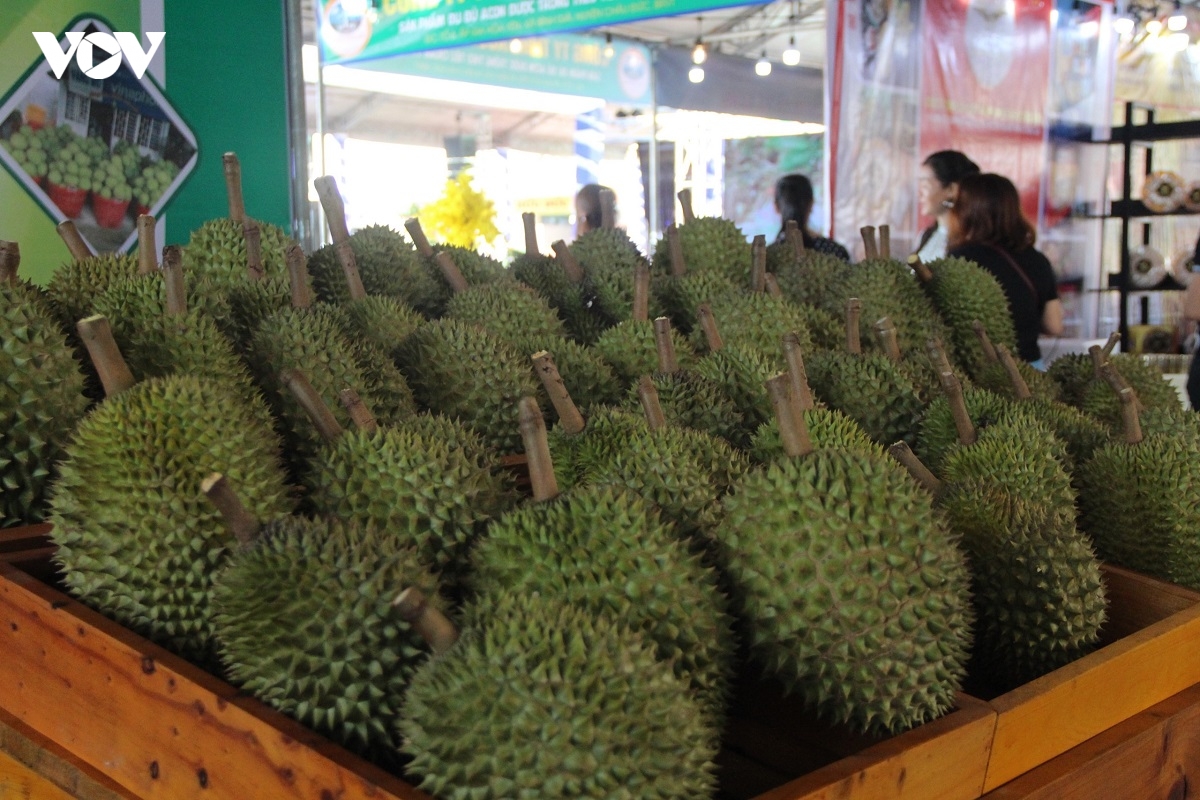 nong dan ba ria - vung tau dua sau rieng, bo, ca phe ra cho nong san hinh anh 2