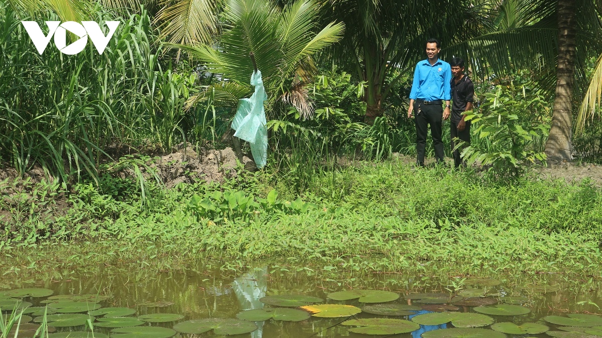 anh nong dan khmer thanh cong voi mo hinh da dang vat nuoi, cay trong hinh anh 2