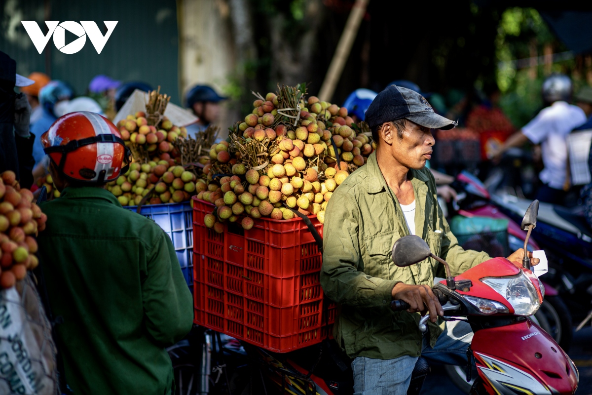 gia vai dau mua bap benh, nguoi trong vai thanh ha hai duong lo lang hinh anh 11