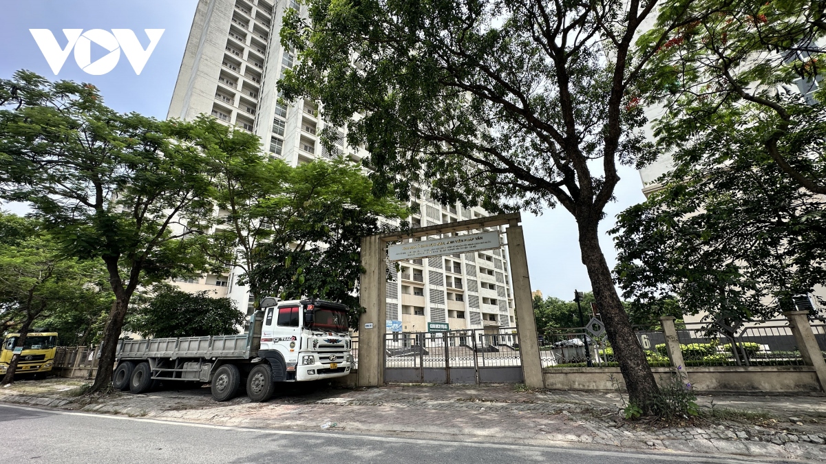 lang phi cua cong tai khu nha o sinh vien phap van bo hoang, cay dai um tum hinh anh 2